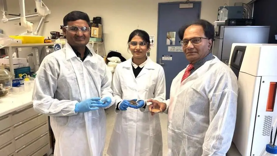 Scientists Convert Eucalyptus Tree Bark Waste Into Pollution Filter